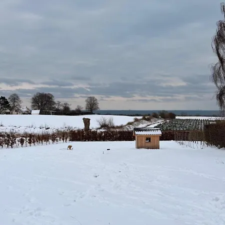 Ferienhaus Scenic Estate With Private Activity Hall & Wellness Sauna Frorup