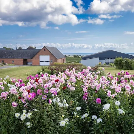 Scenic Estate With Private Activity Hall & Wellness Sauna Ferienhaus Frorup